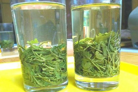 茶葉為什么不能亂送人，買茶葉一次送一盒還是兩盒