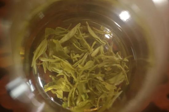 碧螺春正確泡法和飲用，碧螺春茶泡茶方法與溫度