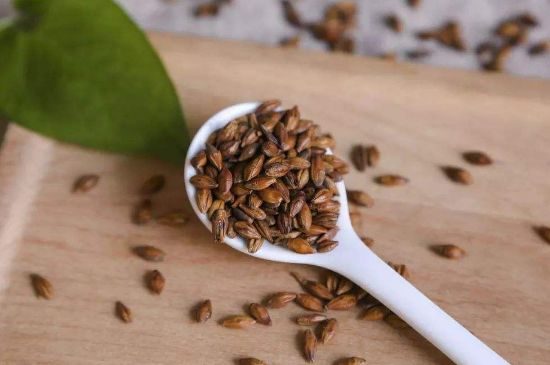 大麥茶上火嗎，喝大麥茶會不會上火？