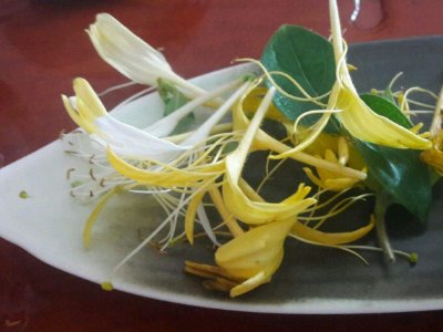 喝茶治口臭嗎，什么茶治口臭好？