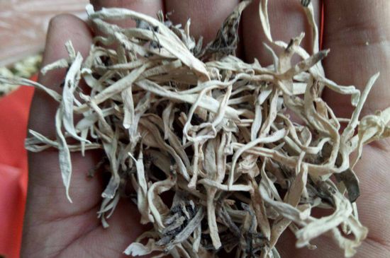 麗江雪茶的禁忌，白雪茶的副作用