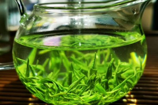 喝黃金茶禁忌，什么人不能喝黃金芽茶？