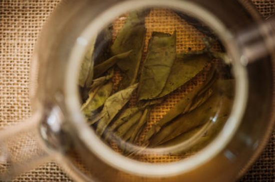 苦丁茶副作用，苦丁可以經(jīng)常喝嗎？