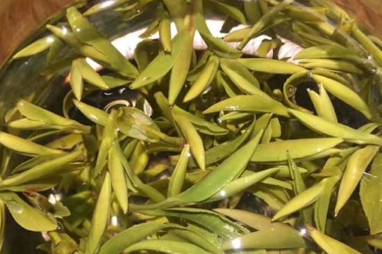 八大茶系都有哪幾種，八大茶系都是什么名字