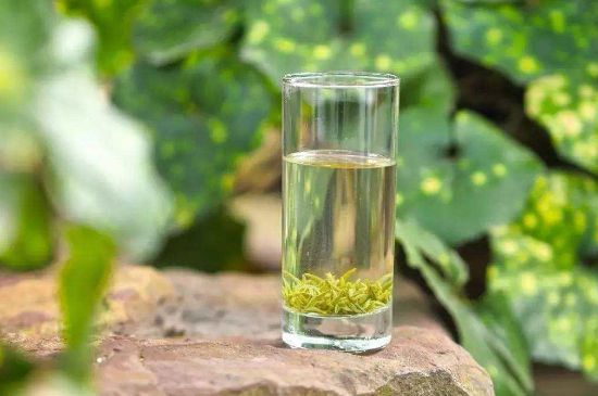 碧螺春沖泡三要素，碧螺春怎么泡才正確？