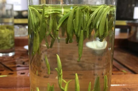 雀舌茶的副作用，雀舌茶什么人不能喝？