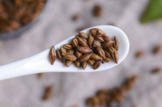 飯店的大麥茶為什么那么香，自己泡的蕎麥茶沒(méi)飯店香