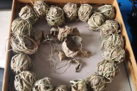 鷓鴣茶用拆開泡嗎，鷓鴣茶要解開繩子泡嗎