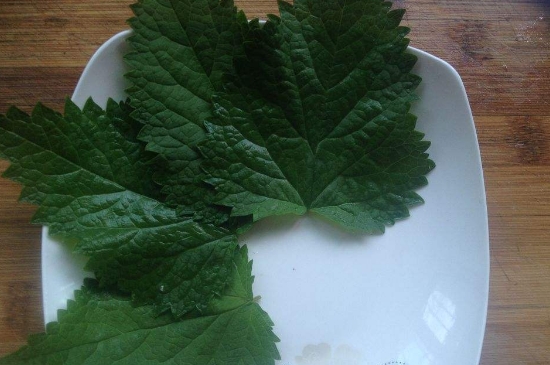 薄荷茶的功效與作用，喝薄荷茶有什么好處？