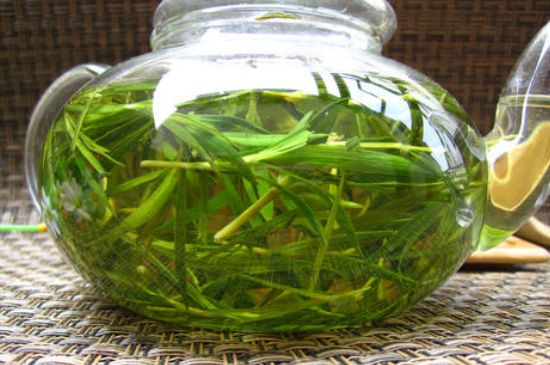 竹葉茶的禁忌，竹葉泡茶的功效禁忌