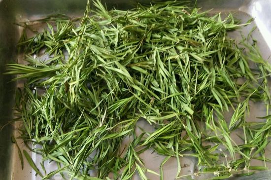 哪類(lèi)人不適合喝石竹茶，石竹茶的功效與禁忌