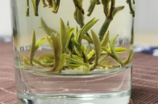 黃山毛峰怎么沖泡，黃山毛峰要多少溫度的水泡？