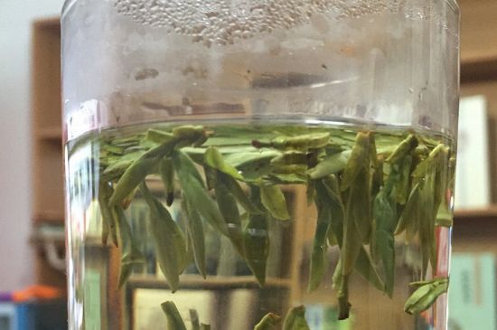 煮茶器能煮龍井嗎，龍井茶能不能用煮茶器圖