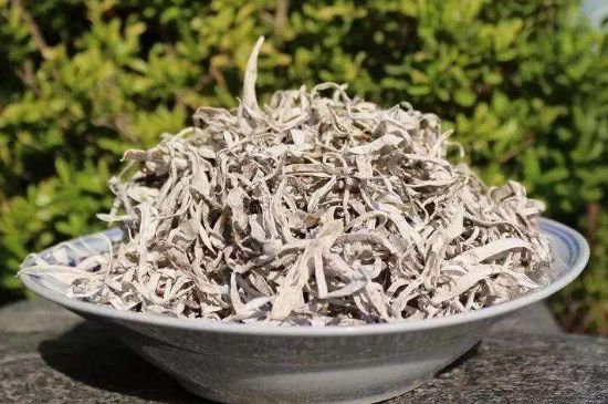 麗江雪茶的功效與作用，白雪茶有什么功效和作用