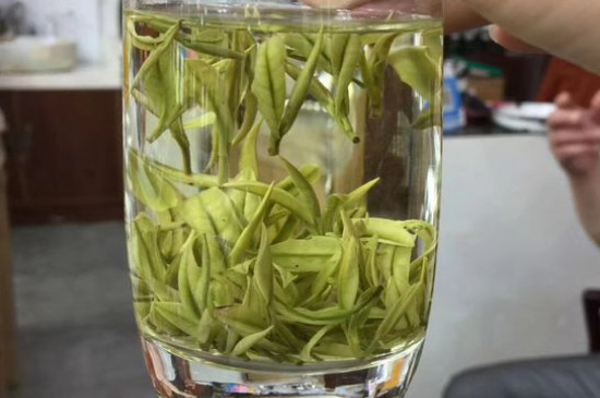 茶葉過期5年了但沒開封，茶葉放久了能喝嗎