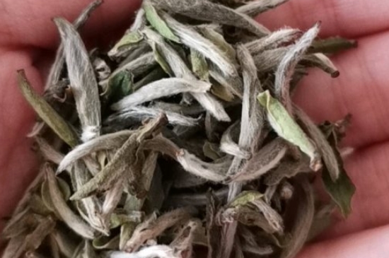 如何買茶葉不上當，怎么買茶葉不被坑？