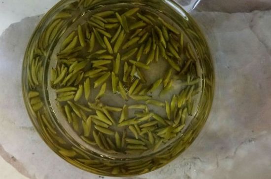 茶葉在哪里買比較好，哪里能買到好的茶葉