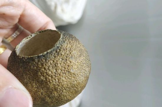 小青柑多少錢一盒，新會小青柑普茶價格一斤多少