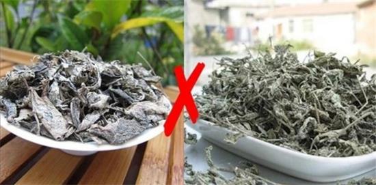 張家界茅巖莓茶與藤茶是同一種茶嗎，藤茶跟莓茶一不一樣？