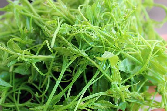 茅巖莓茶別名是什么，莓茶別名叫藤茶嗎？