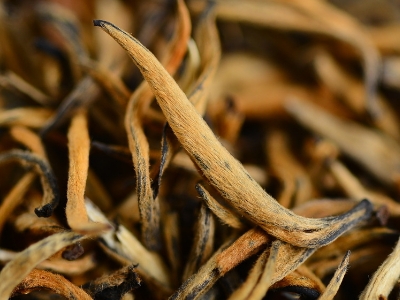 怎么知道什么茶葉適合自己，怎么判斷自己適合喝什么茶？