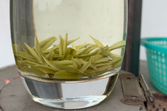 安吉白茶耐寒嗎，白茶適合放冰箱嗎