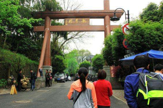 杭州買龍井茶攻略，怎么買到正宗的西湖龍井？