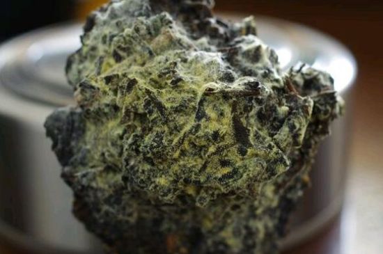 涇渭茯茶保質(zhì)期多久，陜西涇渭茯茶能放幾年