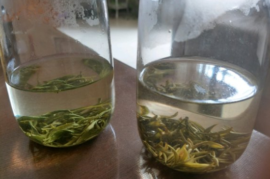 真假碧螺春泡水后區(qū)別，蘇州洞庭碧螺春怎樣鑒別好壞？