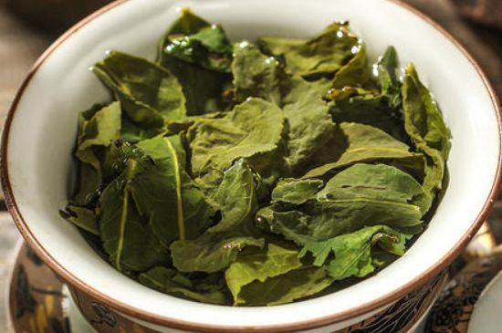 陳茶還是新茶好，茶葉是新茶好喝還是陳茶好喝