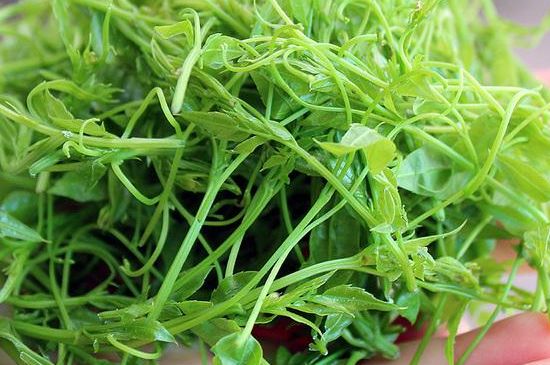 茅巖莓茶保質(zhì)期有多久，張家界莓茶存放時間長了還能喝嗎？