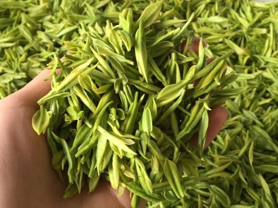 白茶品質(zhì)如何區(qū)分，白茶的優(yōu)劣質(zhì)量辨別方法