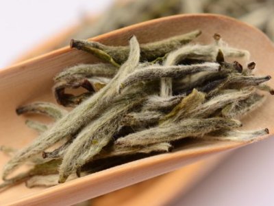 白毫銀針放幾年最好，白毫銀針什么年份最好？