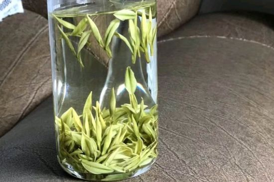 安吉白茶夏天怎么保存，安吉白茶能冷凍儲存嗎？