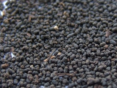 圓形顆粒狀茶是什么茶，像飼料一樣一粒粒的是什么茶？