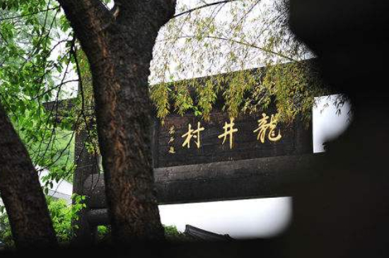 杭州買龍井茶攻略，怎么買到正宗的西湖龍井？