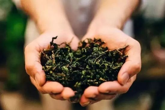 茶葉怎么炒制才香，怎樣炒茶葉更香？