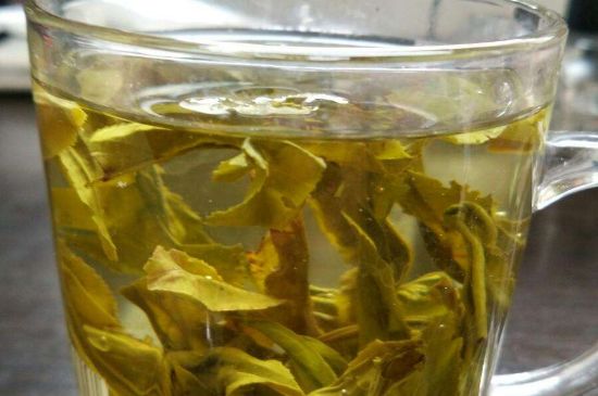 茉莉龍珠可以和什么一起泡茶，茉莉龍珠茶能加蜂蜜嗎？