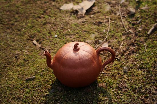 紫砂壺泡什么茶最佳，紫砂壺一般泡什么茶？