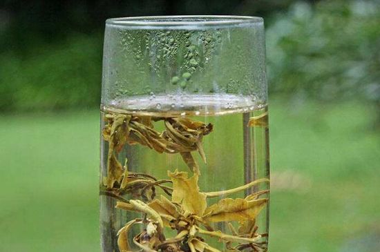 茉莉龍珠什么人不能喝，茉莉龍珠茶什么體質(zhì)不能喝？