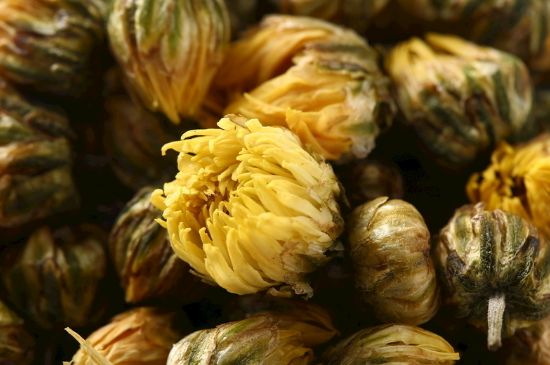 蒲公英搭配大全，蒲公英泡水喝的8種搭配