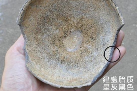 假建盞的特點，真假建盞區(qū)分帶圖