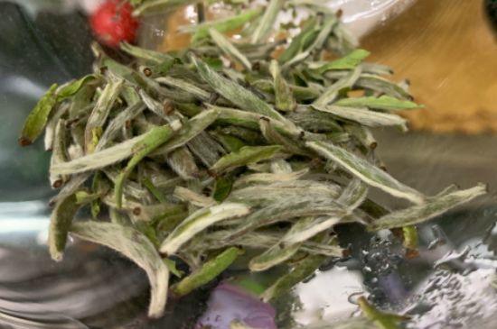 蒸汽煮茶器適合什么茶，蒸汽煮茶器適合用綠茶嗎？