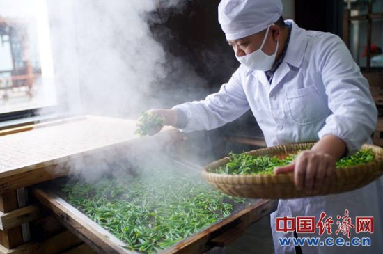 炒青綠茶與綠茶的區(qū)別，烘青和炒青哪個好喝？