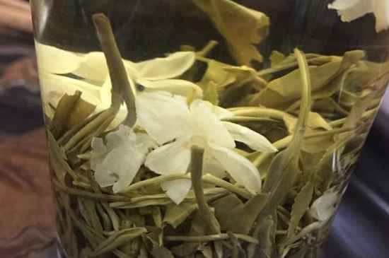 女孩喝茉莉茶的好處，茉莉茶葉的功效與禁忌