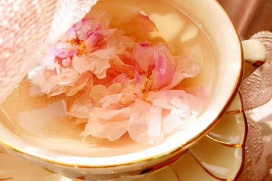 玫瑰花茶一周喝幾次，玫瑰花茶可以天天喝嗎？