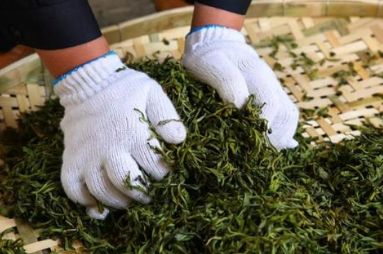 綠茶加工工藝流程圖，綠茶的加工制作包含哪幾個步驟？