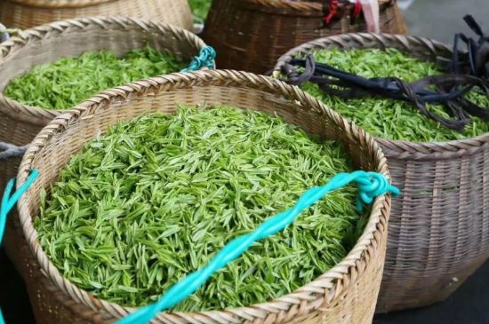 茶葉怎么炒制才香，怎樣炒茶葉更香？