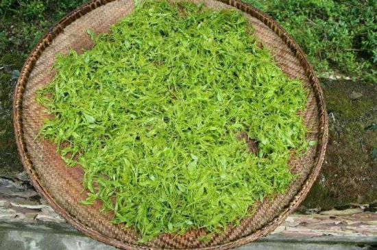 茅巖莓茶加工工藝，莓茶的工藝制作過程