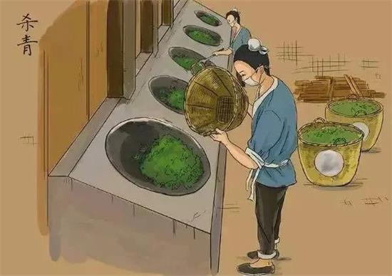 制茶八步驟，制茶工藝流程圖